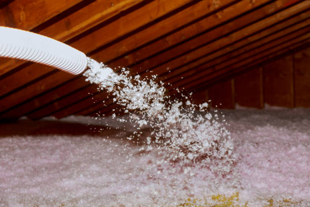 Best Insulation for Specific Applications in Bellevue, KY