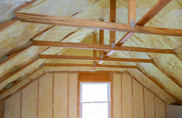 Best Insulation Installation Services in Bellevue, KY