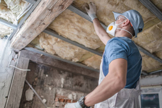 Best Insulation Maintenance and Repair in Bellevue, KY